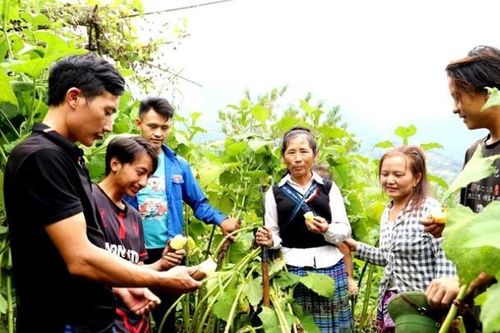 Chuyện về một Bí thư chi bộ giỏi
