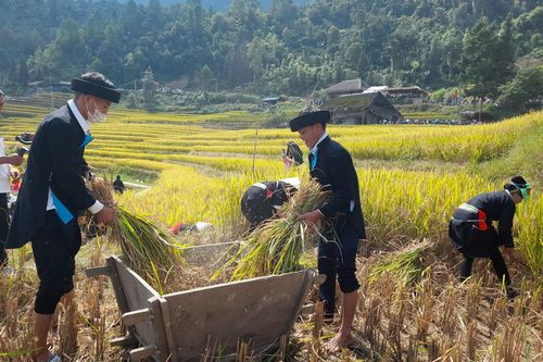 Hà Giang: Sắc màu Lễ hội 'Mùa vàng – Làng nhà rêu' Xà Phìn năm 2023