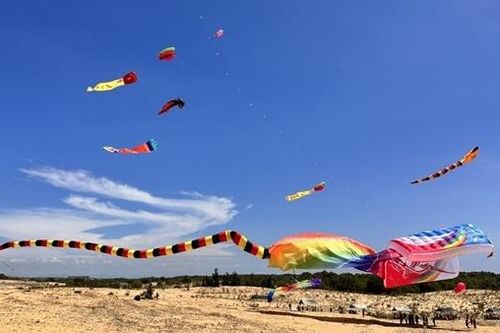 Sôi động Lễ hội diều 'Chắp cánh ước mơ'