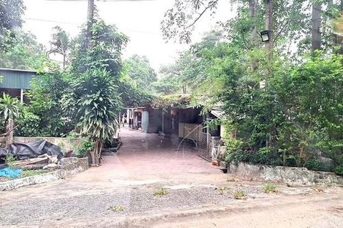 Thanh niên dùng súng hơi bắn vợ bạn nhập viện rồi bỏ trốn