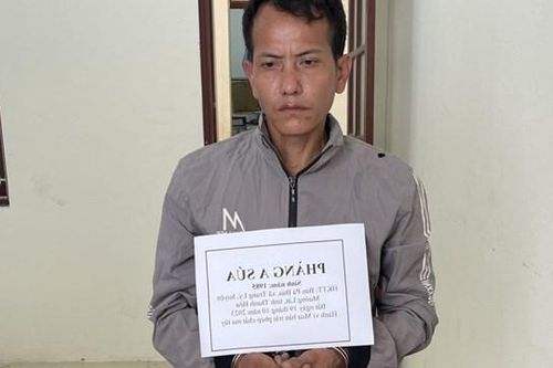Xây chòi trên đồi cao để điều hành việc bán ma túy