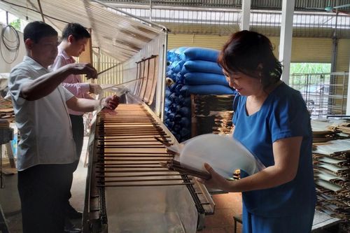 Tạo việc làm, tăng thu nhập nhờ nguồn vốn chính sách