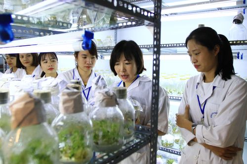 Nhà khoa học nữ: Nghề đã chọn người