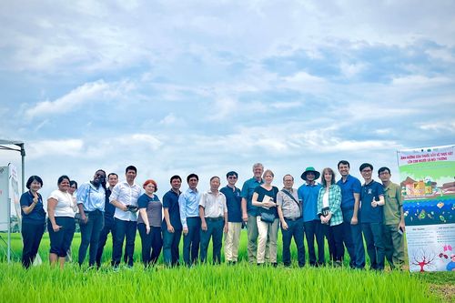 Phát triển chế phẩm vi sinh xử lý rơm rạ sau thu hoạch tại đồng ruộng