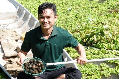 Bỏ làm nhân viên kinh doanh, 9X về quê nuôi ốc thu cả trăm triệu đồng/tháng