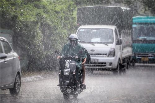 Khu vực từ Quảng Bình đến Đà Nẵng có mưa vừa, mưa to