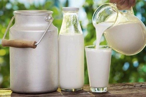 Uống loại sữa này, nhiều người sống lâu đến 100 tuổi