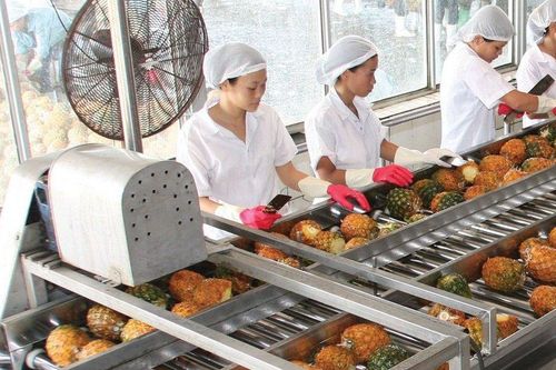 Không còn lãi chứng khoán, Thực phẩm An Giang báo lợi nhuận giảm sâu