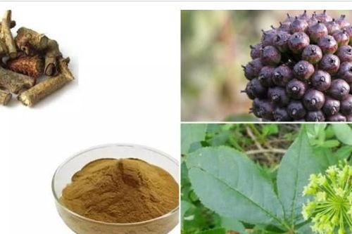 Loại cỏ dại mọc đầy trên núi: Hoa nở như kim cương, được ví như 'nhân sâm' không phải ai cũng biết