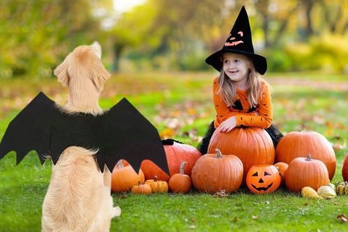 Chọn trang phục hóa trang Halloween cho bé gái