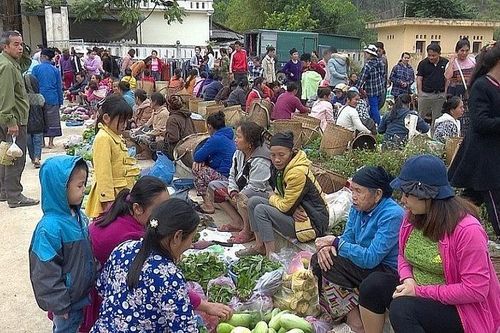 Thanh Hóa: Hoạt động thương mại xuất nhập khẩu hàng hóa qua Lào khởi sắc