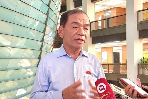 Đại biểu Lê Thanh Vân: Bộ Công Thương nghiêm túc trong trả lời kiến nghị của cử tri
