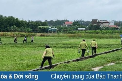 Quyết liệt các giải pháp cấp bách để bảo tồn chim hoang dã, chim di cư