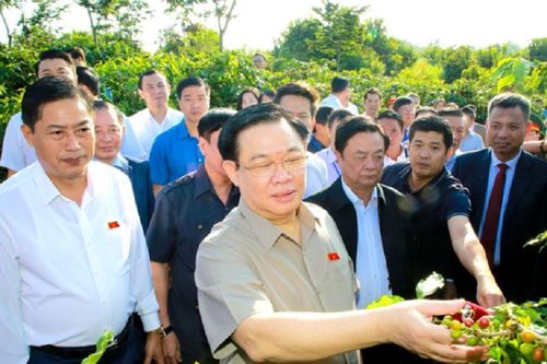 Đầu tư liên kết phát triển bền vững cà phê Sơn La