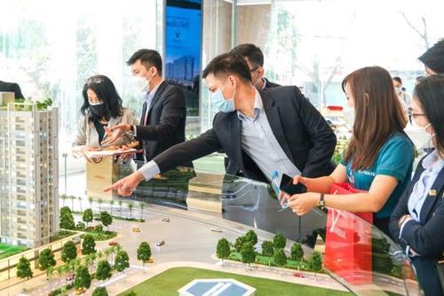 TP.HCM kiểm tra 81 sàn giao dịch bất động sản
