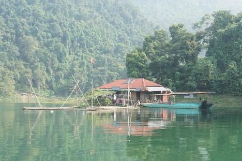 Chuyện vụn đại ngàn: Chuyến thăm các đại lão mộc