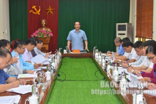 Tiếp tục tăng cường tuyên truyền, vận động xã hội hóa, đẩy nhanh tiến độ xây dựng các hạng mục của Đền Chi Lăng