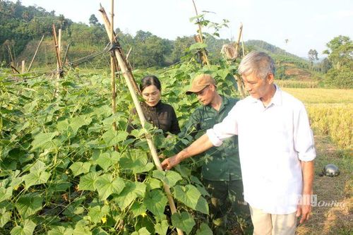Vận động bằng uy tín