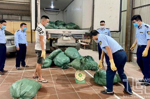 Xử lý vận chuyển hàng không rõ nguồn gốc: Bất cập nhìn từ vụ 2 tấn tai lợn 'bẩn'