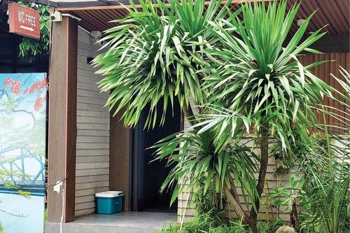 Hoàn thiện hệ thống nhà vệ sinh công cộng