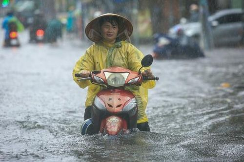 Hơi thở Môi trường 24h ngày 23/10: Cảnh báo mưa lớn ở khu vực Bắc và Trung Trung Bộ