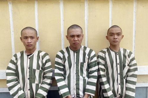 Nhiều trẻ em, thiếu nữ bị lừa thông qua mạng xã hội