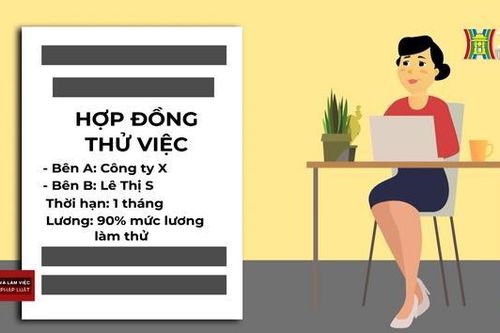 Tiền lương thử việc | Sống và làm việc theo pháp luật | 23/10/2023