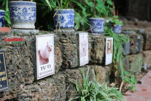 Bất ngờ với nghĩa trang dành cho thú cưng rộng gần 2.000m2 giữa lòng Thủ đô