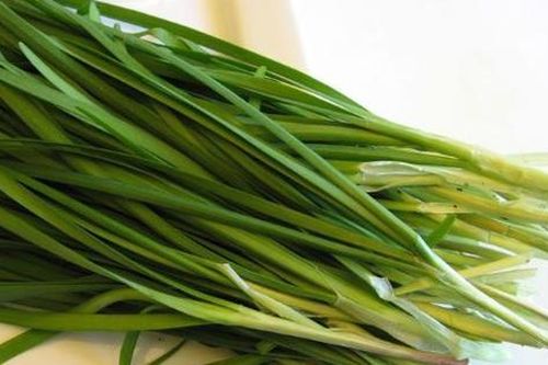 3 vị thuốc dân dã giảm sốt, tiêu đờm ở trẻ lúc giao mùa