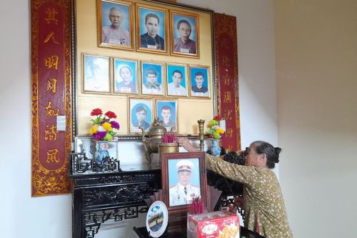 Về quê hương cát trắng, phi lao