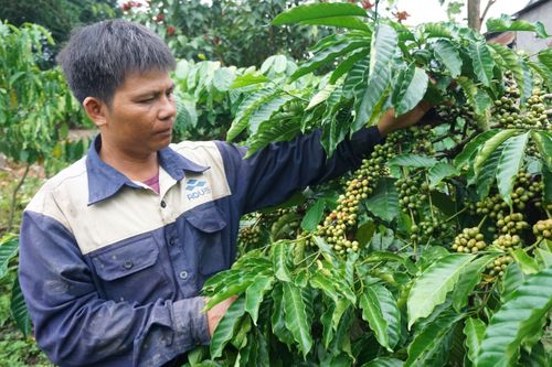 Bí thư chi bộ giúp dân thoát nghèo