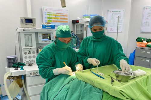 Bệnh viện Đa khoa Mộc Châu làm tốt công tác khám chữa bệnh