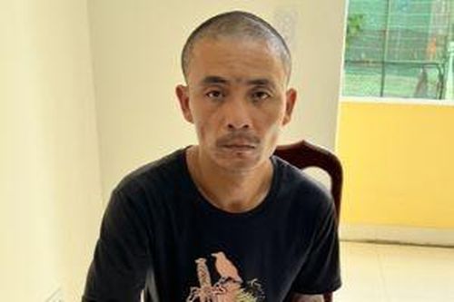 Giết anh trai vì tranh chấp đất đai