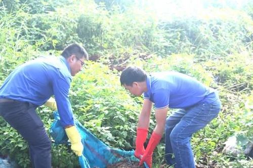 Đoàn thanh niên biến tụ điểm rác thành tuyến đường cây xanh