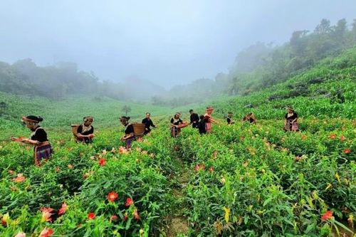Đồng Hỷ (Thái Nguyên): Tiềm năng du lịch cần được khơi dậy và phát huy