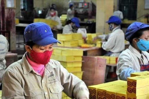 Một công ty bán vàng mã, tinh bột sắn thu hơn 50 tỷ đồng mỗi tháng