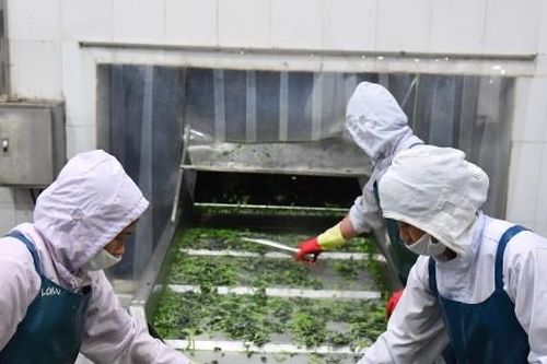 Hoàn thiện chính sách, đề xuất tăng mức hỗ trợ tư vấn pháp lý cho doanh nghiệp