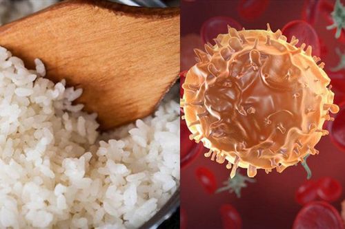 Thực hư ăn cơm nguội có thể gây ung thư