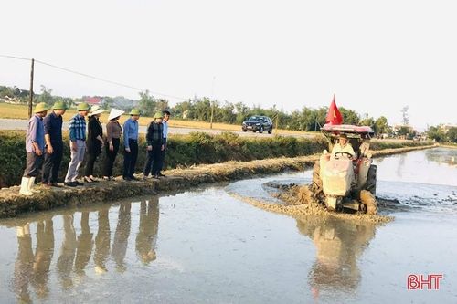 Tranh thủ thời điểm 'vàng', đồng loạt tích tụ ruộng đất