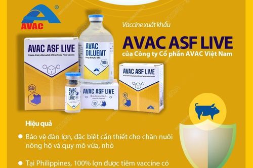 Việt Nam chính thức xuất khẩu vaccine phòng bệnh dịch tả lợn châu Phi