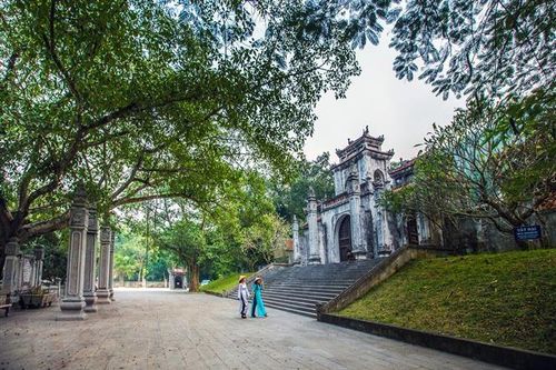 Nguy cơ mối xâm hại tại Khu Di tích Quốc gia Đền Bà Triệu