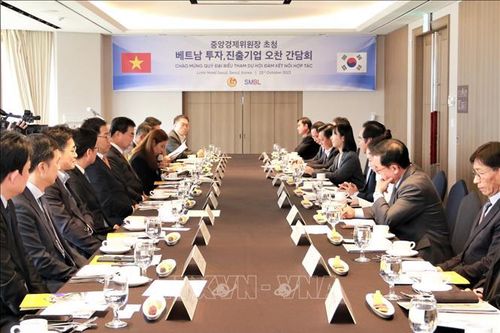 Tọa đàm kết nối đầu tư giữa tỉnh Long An với các doanh nghiệp Hàn Quốc
