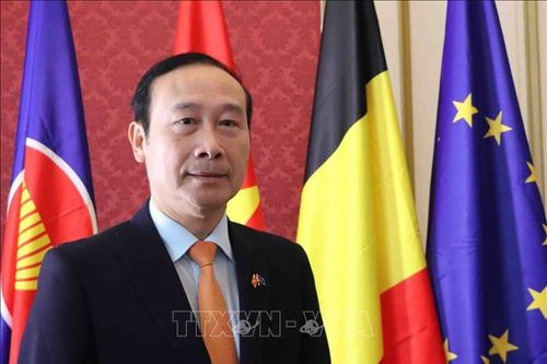 Đại sứ Nguyễn Văn Thảo: Việt Nam luôn là đối tác quan trọng của EU