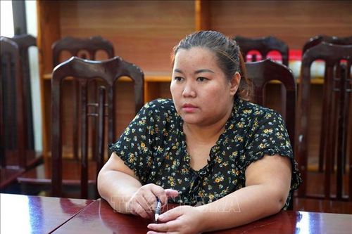 Bắt tạm giam đối tượng lừa huy động vốn để chiếm đoạt hơn 70 tỷ đồng