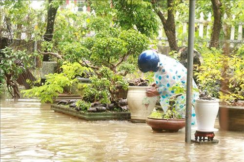 Trung Bộ mưa lớn, cảnh báo nguy cơ xảy ra lũ quét, sạt lở đất