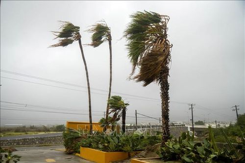 Mexico tiếp tục ứng phó với bão Otis