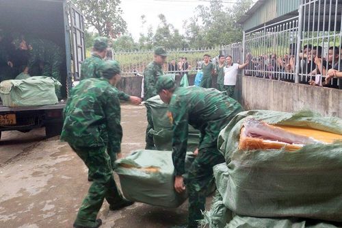 Quảng Ninh: Thu giữ hơn 1,7 tấn trứng gà non đông lạnh