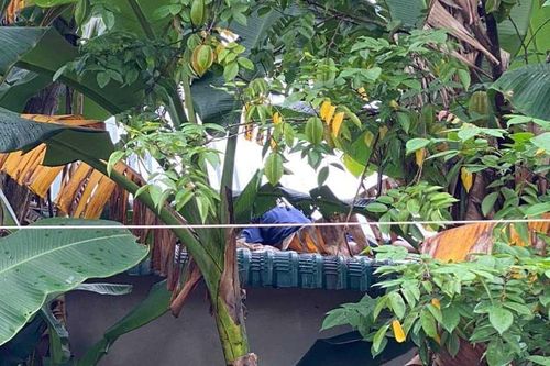 Thừa Thiên-Huế: Nhân viên viễn thông tử vong nghi bị điện giật