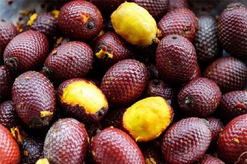 Vì sao quả Aguaje được các chị em phụ nữ săn lùng? Có giá bán lên tới 500.000 đồng/kg