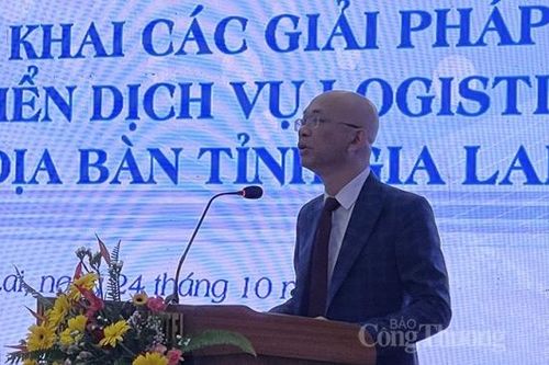 Bàn giải pháp phát triển dịch vụ logistics trên địa bàn tỉnh Gia Lai